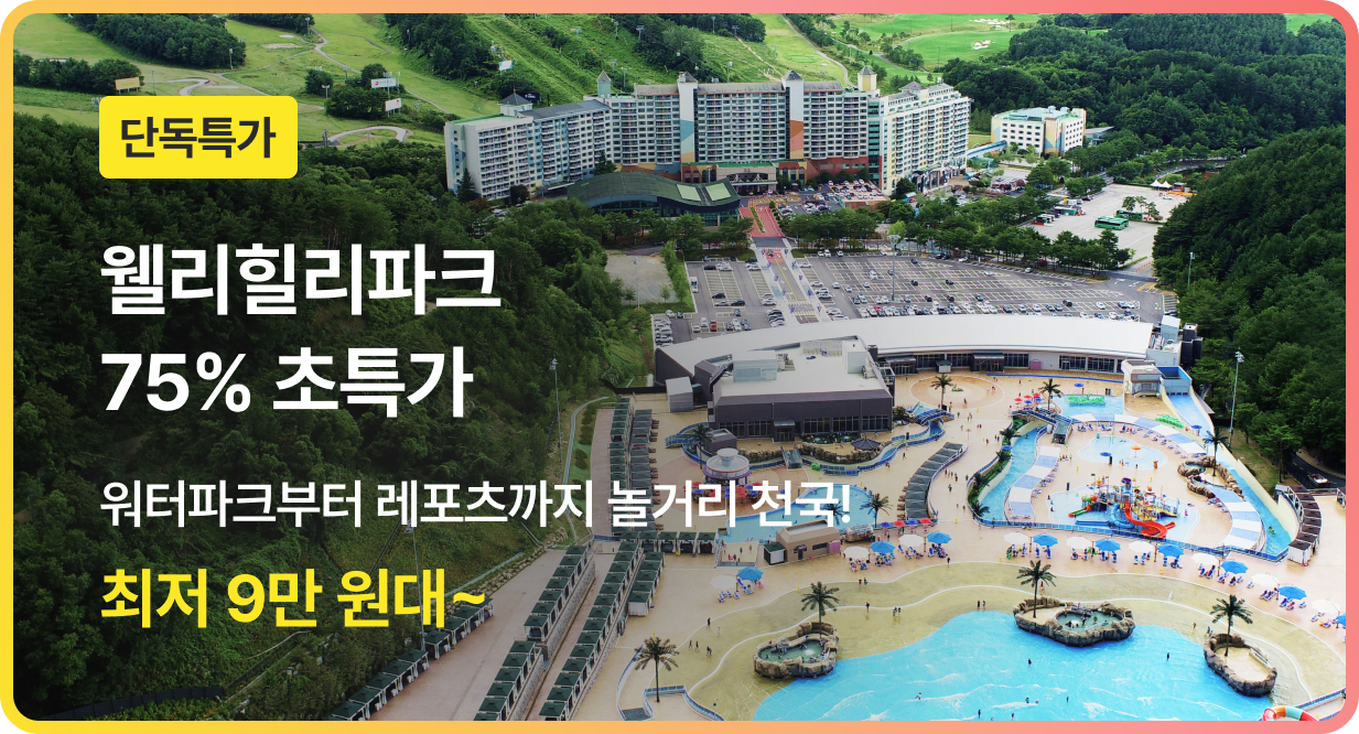 번쩍특가 | 웰리힐리파크