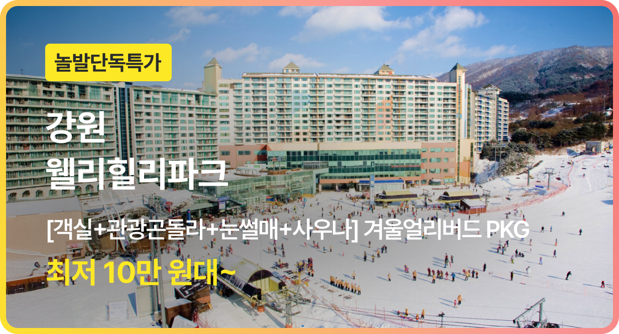 번쩍특가 | 웰리힐리파크