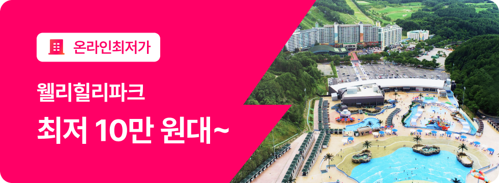 번쩍특가 | 웰리힐리