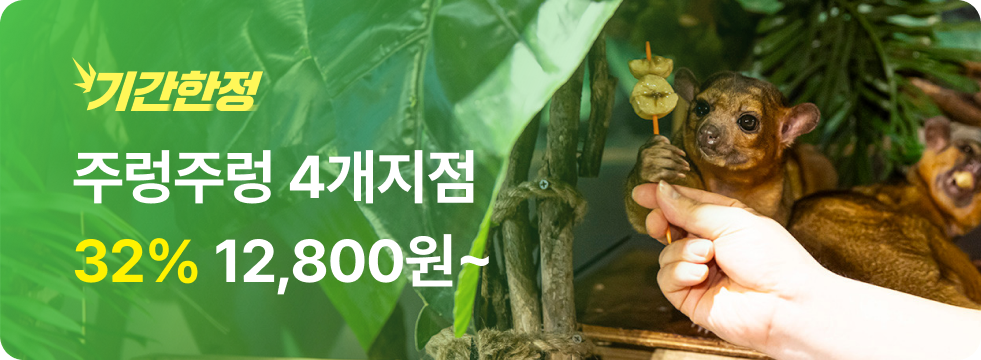 번쩍특가 | 주렁주렁4개지점