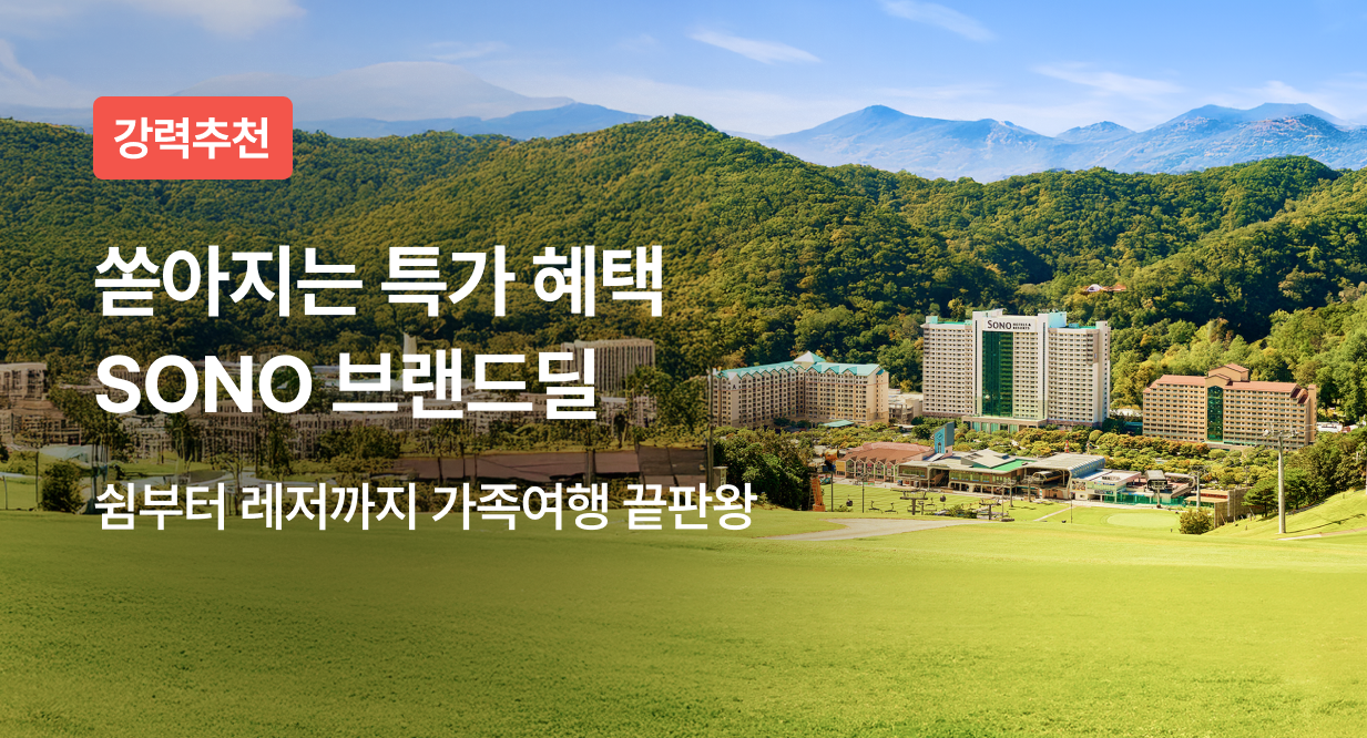소노브랜드딜