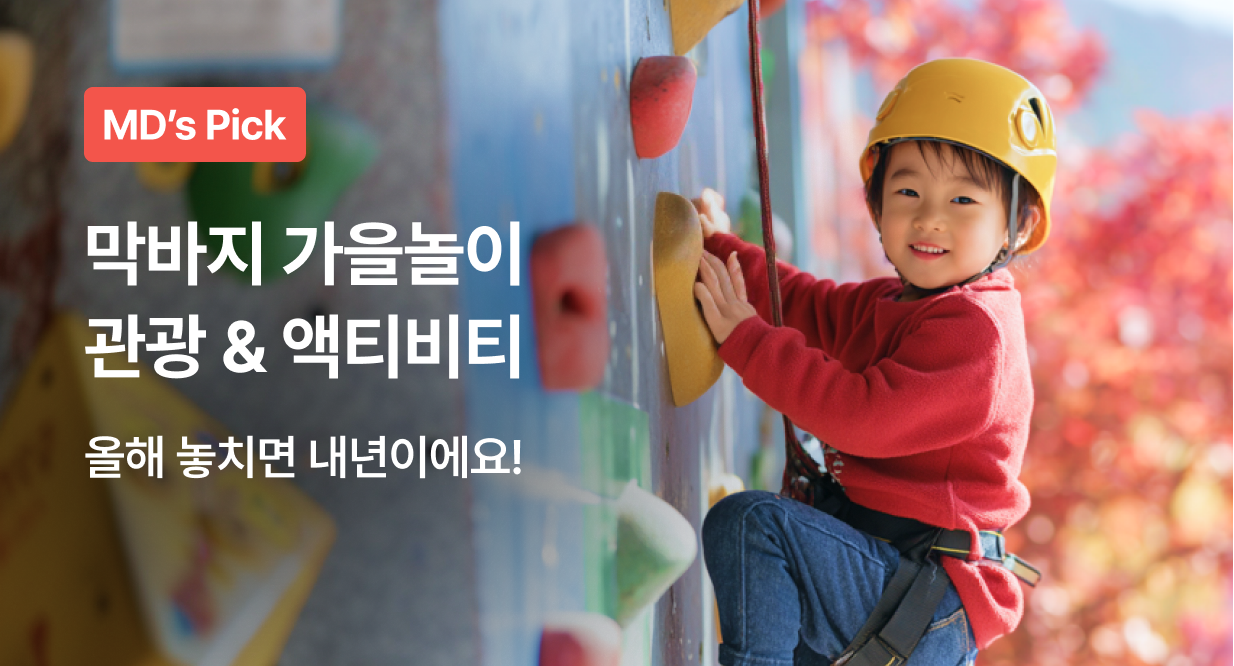 가을 단풍 나들이 관광&액티비티