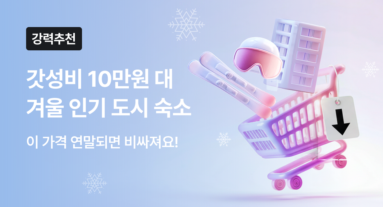 겨울 인기 도시 가성비 얼리버드