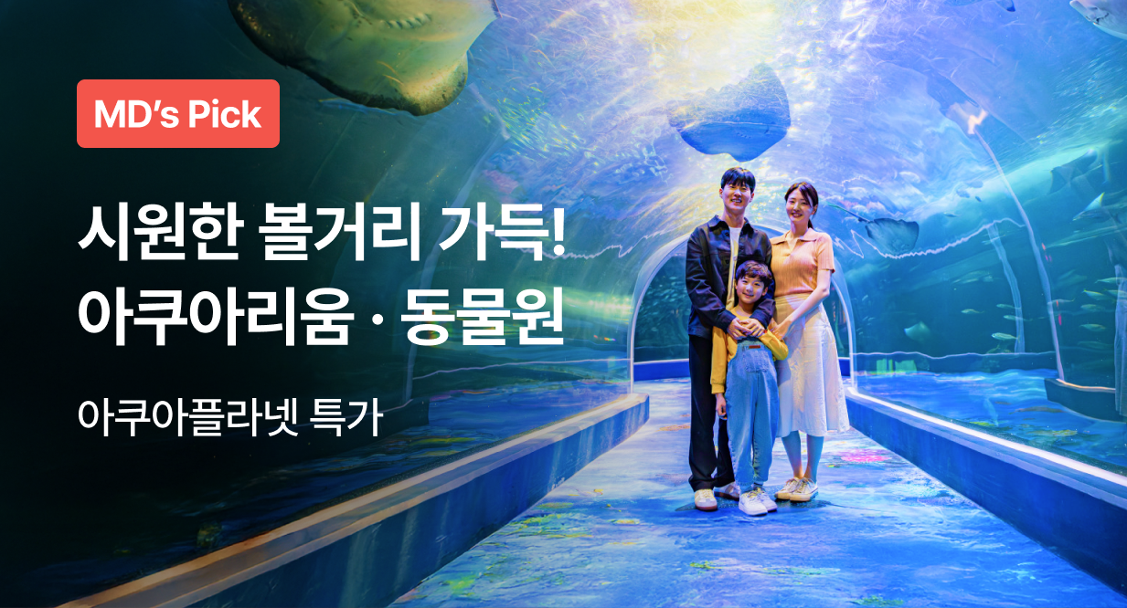 더위도 피하고 볼거리도 많은 아쿠아리움&동물원