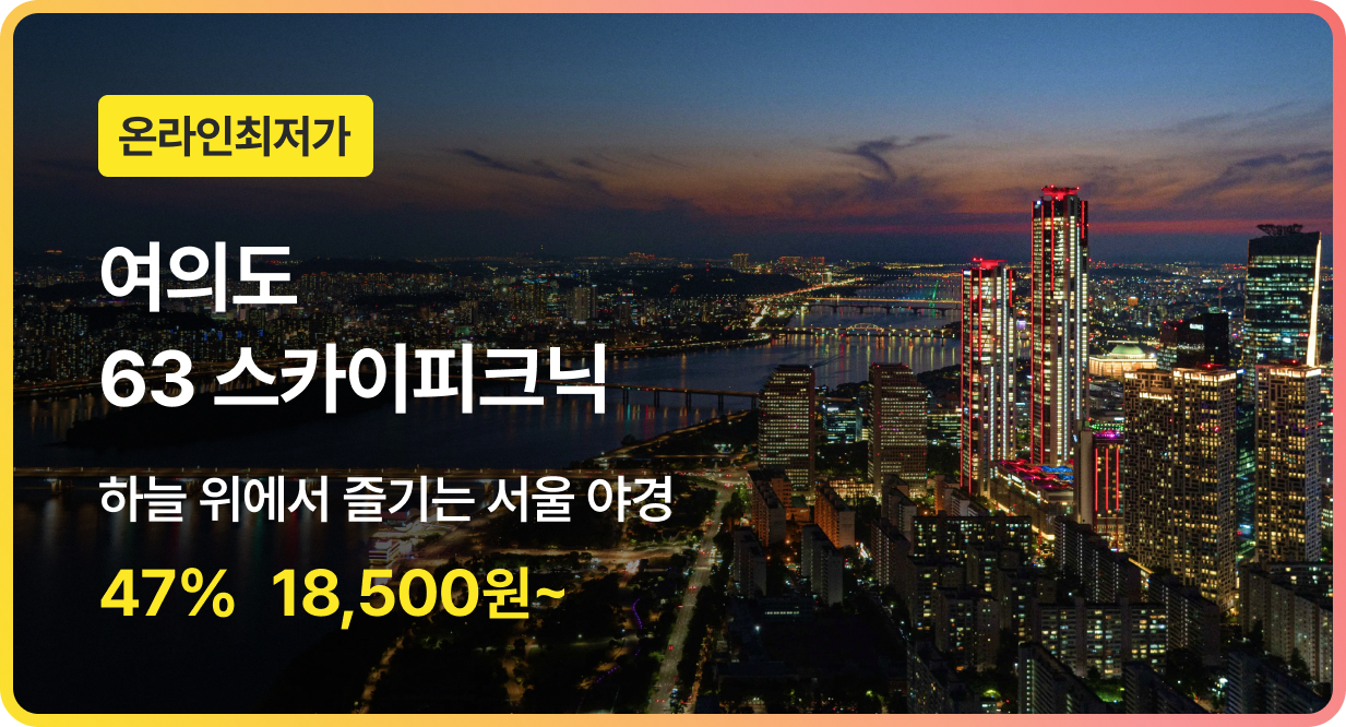 번쩍특가 | 63스카이피크닉