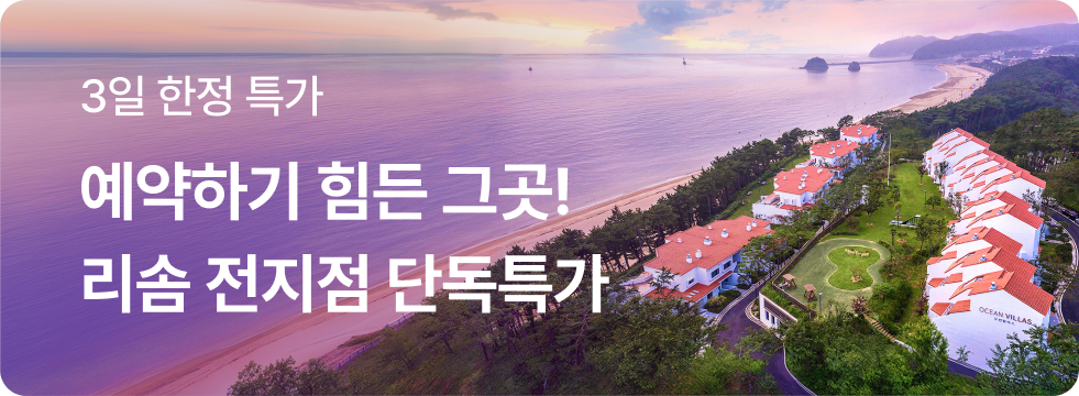 리솜 전지점 특가