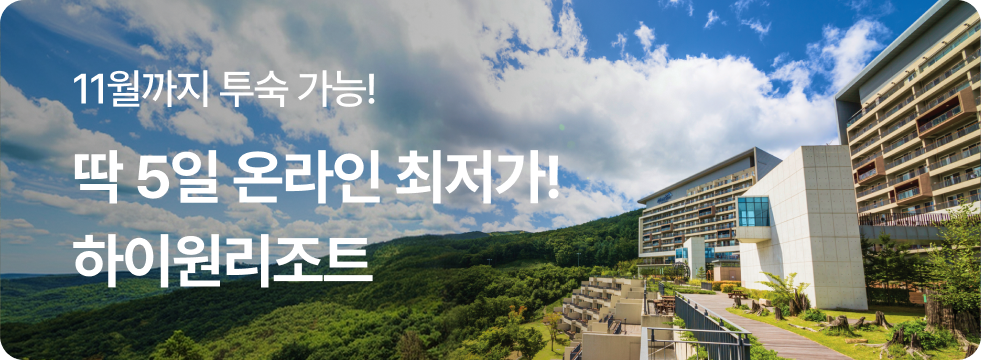 놀발 단독 최저가 하이원 리조트