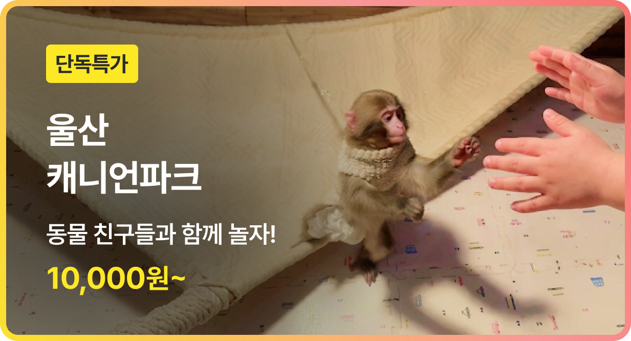 번쩍특가 | 울산케니언파크