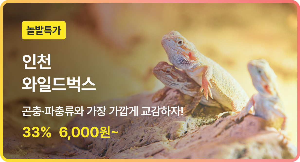 번쩍특가 | 와일드벅스