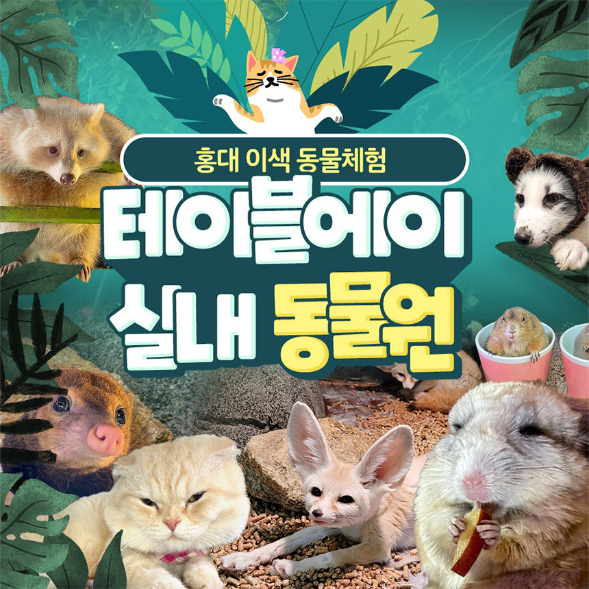 상세페이지 이미지